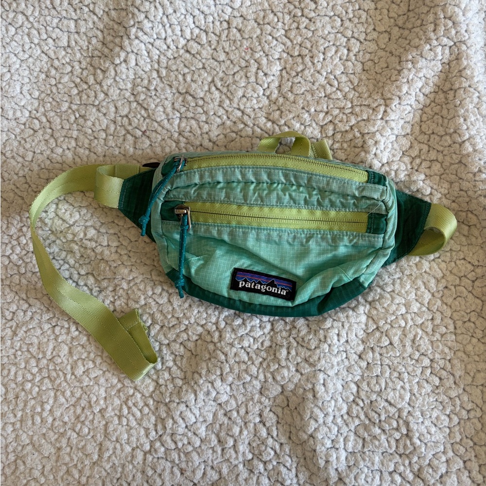 Patagonia Two-Tone Green Hip Pack